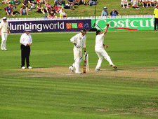 Seddon Park